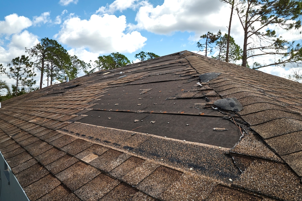 Wind,Damaged,House,Roof,With,Missing,Asphalt,Shingles,After,Hurricane Storm-damaged roof