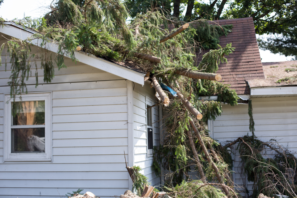 Roof damage from a tree that fell over during hurricane storm in Overland Park, KS