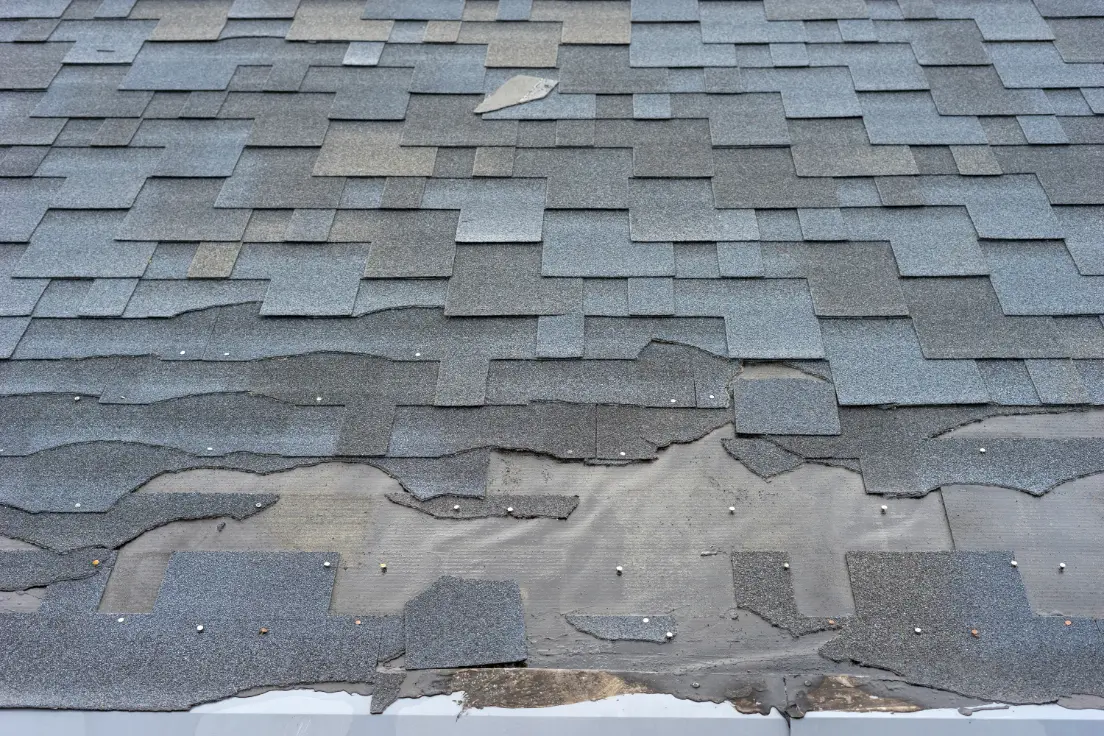 Close up view of bitumen shingles roof damage that needs repair Close up view of bitumen shingles roof damage that needs repair